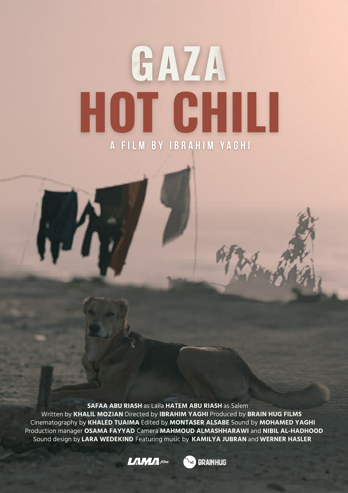 Gaza Hot Chili official poster, a dog resting on the shore beneath a washing line